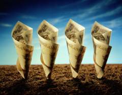 Рост цен  в Омской области