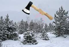 Уголовное дело по незаконной вырубке лесе. Большейковский район