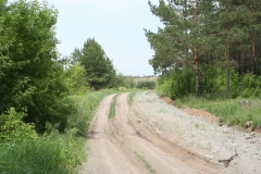 Строительство сельских дорог