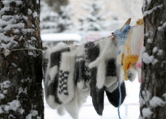 Подготовка к зиме