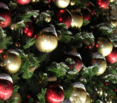 С Новым годом, омичи! С Новым годом, омичи!