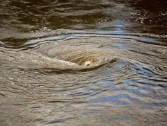 ОАО "ОмскВодоканал"