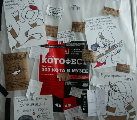 Котофест в Омске Котофест в Омске