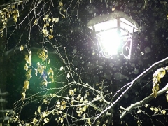 Продажа активов Омскэлектро