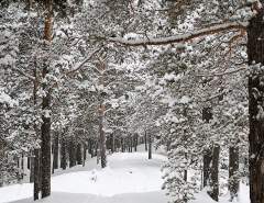 Аномальное похолодание в Омской области