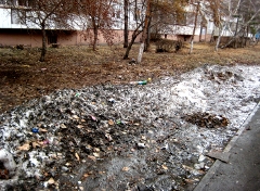 В Омске пройдут субботники