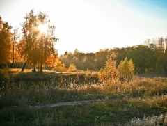 Строительство кладбища в Омске