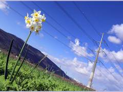 Погода в Омске