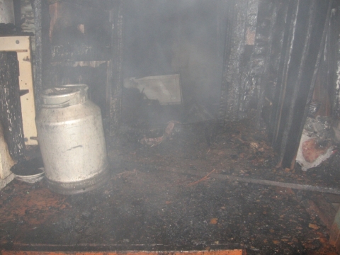 Пожары в Омской области