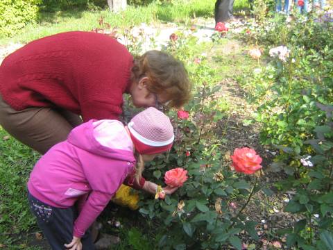 Омский денрологический сад