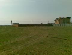 Земля Омской области