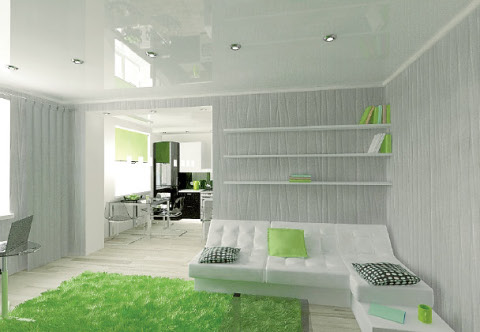 Проект участника конкурса, дизайнера студии "Глянец" Алины Шадриной