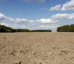 Земля в Омске