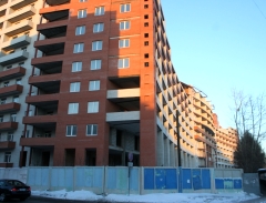 "Золотые купола" на Тарской в Омске