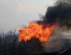 Пожары в Омске
