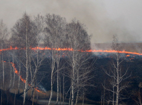 Пожары в Омской области