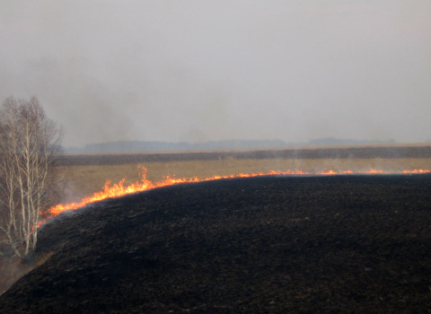 Пожары в Омской области