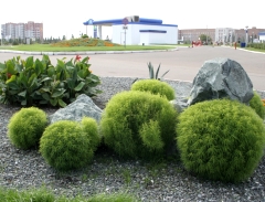 Благоустройство в Омске