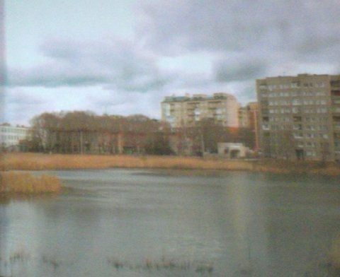 Видеоролик - современное состояние водоема по улице 12 Декабря