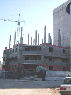 Дом по ул. Малиновского, 11 в Омске