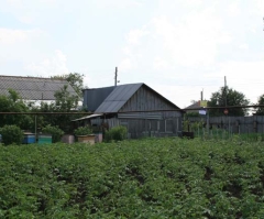 Убийство в Омске