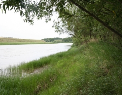 Происшествия в Омской области