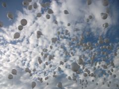 Благотворительная акция в  Омске "Полет мечты"