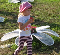 В Омске состоится Первый городской пикник