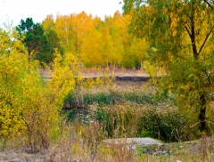 Парк 300-летия Омска