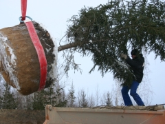 Новый год в Омске