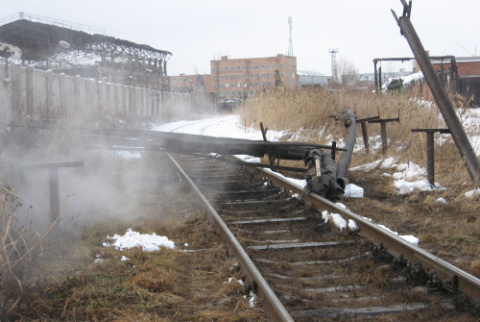 Фото (С) УМВД по Омской области