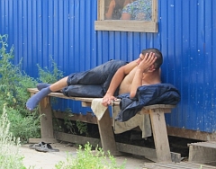 Стратегия развития Омской области