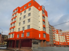 "Янтарный" дом в Омске